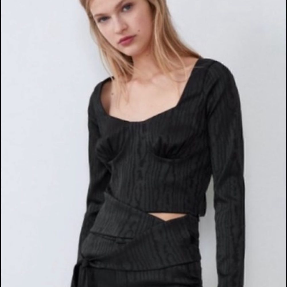 Zara Animal Print Long Sleeve Bustier Top